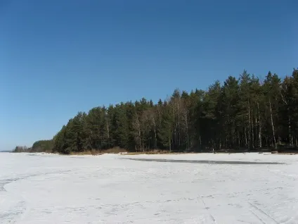 Земельна ділянка на березі озера (березі) Земельна ділянка на березі озера