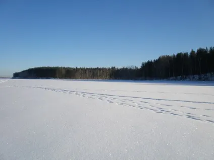 Земельна ділянка на березі озера (березі) Земельна ділянка на березі озера