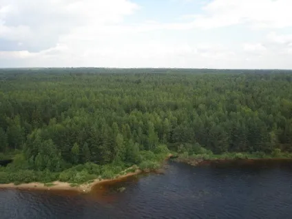 Земельна ділянка на березі озера (ділянка) Земельна ділянка на березі озера
