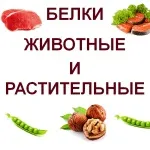 Тваринний та рослинний білок - в чому різниця (тваринний) Тваринний та рослинний білок - в чому різниця