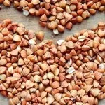 Жимолость їстівна фото, корисні властивості і що можна приготувати з жимолості (їстівна) Жимолость їстівна фото, корисні властивості і що можна приготувати з жимолості