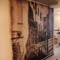 Живопис по сирій штукатурці водяними фарбами відродити древнє мистецтво (живопис по сирій штукатурці водяними фарбами) Живопис по сирій штукатурці водяними фарбами відродити древнє мистецтво