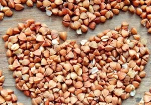 Жимолость їстівна фото, корисні властивості і що можна приготувати з жимолості (корисні) Жимолость їстівна фото, корисні властивості і що можна приготувати з жимолості