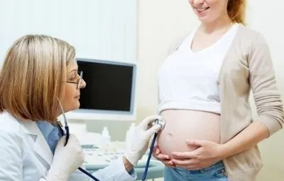 Жовте тіло в гінекології розміри по днях циклу, коли утворюється (жовте) Жовте тіло в гінекології розміри по днях циклу, коли утворюється