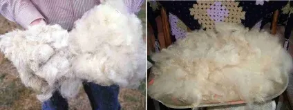 Зимове панно своїми руками для дитячого садка зима, ТЕДІК панно, розвиваюче, як зробити на ювілей (зимовий панно своїми руками для дитячого садка) Зимове панно своїми руками для дитячого садка зима, ТЕДІК панно, розвиваюче, як зробити на ювілей