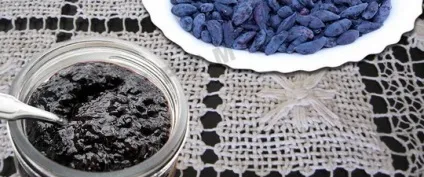 Жимолость їстівна фото, корисні властивості і що можна приготувати з жимолості (можна) Жимолость їстівна фото, корисні властивості і що можна приготувати з жимолості