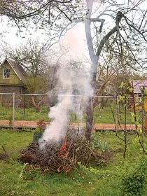Зола в допомогу
