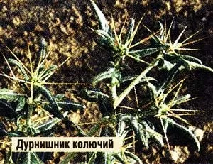 Звучить як вирок, ви здорові (онкологічне захворювання) Звучить як вирок, ви здорові