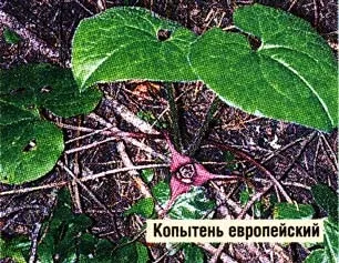 Звучить як вирок, ви здорові (пройшов курс хіміотерапії) Звучить як вирок, ви здорові