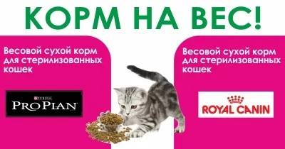 Зоомагазини в Одессае онлайн - планета zoo (зоомагазин онлайн) Зоомагазини в Одессае онлайн - планета zoo