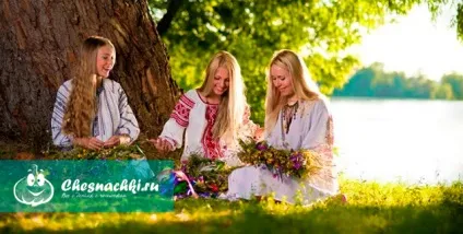 Звіробій лікувальні властивості і протипоказання для жінок (лікувальні) Звіробій лікувальні властивості і протипоказання для жінок