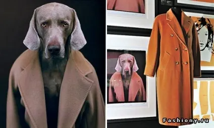 Знамените пальто від maxmara (пальто) Знамените пальто від maxmara