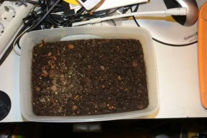 Зофобас-що за звір