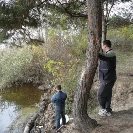 Значення знайомих слів