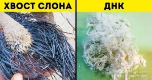 11 Секретних прийомів в кіно, на які ми не звертали уваги (які) 11 Секретних прийомів в кіно, на які ми не звертали уваги