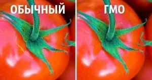 11 Секретних прийомів в кіно, на які ми не звертали уваги (які) 11 Секретних прийомів в кіно, на які ми не звертали уваги