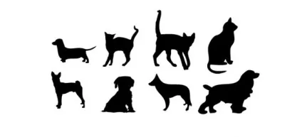 20 Наборів силуетів тварин у векторі (animals Vector graphics) 20 Наборів силуетів тварин у векторі