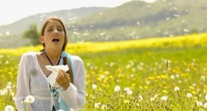 Алергія в серпні причини і лікування (алергія) Алергія в серпні причини і лікування