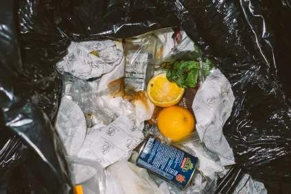 Афіша місто керуючі кафе і ресторанів про те, що відбувається з нез'їденої їжею - архів (екологія) Афіша місто керуючі кафе і ресторанів про те, що відбувається з нез'їденої їжею - архів