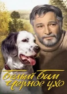 Будинки без огорожі