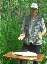 Балик з жереха кращий рецепт приготування в домашніх умови (рецепт) Балик з жереха кращий рецепт приготування в домашніх умови