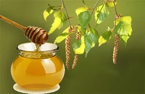 Березовий сік - ліки від ста недуг, журнал - по-жіночому (березовий) Березовий сік - ліки від ста недуг, журнал - по-жіночому