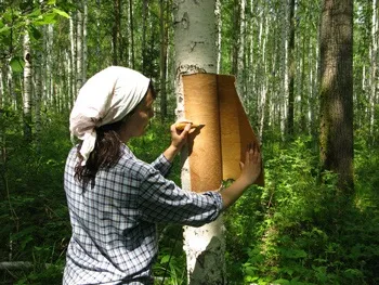 Березовий сік - ліки від ста недуг, журнал - по-жіночому (ліки) Березовий сік - ліки від ста недуг, журнал - по-жіночому
