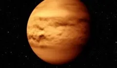 Чим харчується комар-самець