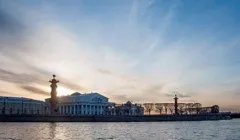 Чим харчується комар-самець