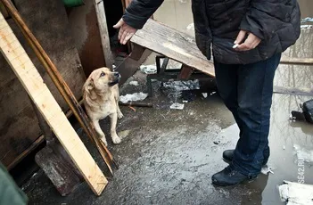 Бомж зі звалища як, я з'їв собаку! (З'їв) Бомж зі звалища як, я з'їв собаку!