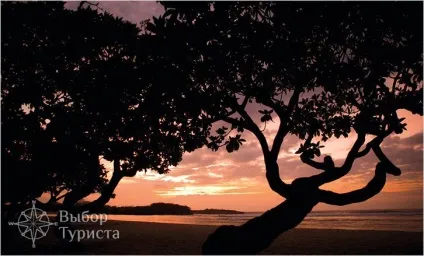 Чим зайнятися на балі (bali) - чим займаються на балі (чим зайнятися на балі) Чим зайнятися на балі (bali) - чим займаються на балі