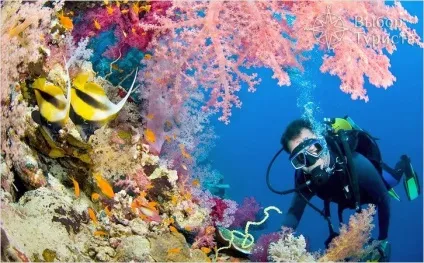 Чим зайнятися на балі (bali) - чим займаються на балі (чим зайнятися на балі) Чим зайнятися на балі (bali) - чим займаються на балі