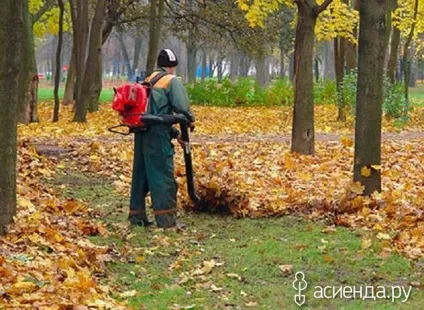 Що робити з опалим листям