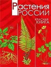 Що таке червона книга що корисного вона в собі несе (червона) Що таке червона книга що корисного вона в собі несе