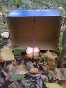 Дитячий розповідь - як зловити їжака (зловити) Дитячий розповідь - як зловити їжака