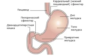 Дистальний хронічний езофагіт сіпотоми і лікування різних ступенів, дієти (дистальний) Дистальний хронічний езофагіт сіпотоми і лікування різних ступенів, дієти