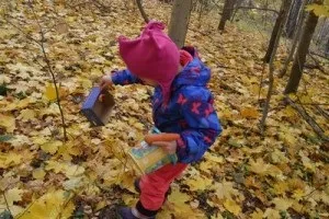 Дитячий розповідь - як зловити їжака (зловити) Дитячий розповідь - як зловити їжака