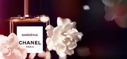 Духи Шанель (chanel) найпопулярніші аромати (популярні) Духи Шанель (chanel) найпопулярніші аромати