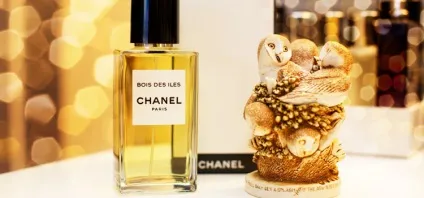 Духи Шанель (chanel) найпопулярніші аромати (духи Шанель шанс) Духи Шанель (chanel) найпопулярніші аромати