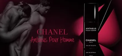 Духи Шанель (chanel) найпопулярніші аромати (шанель) Духи Шанель (chanel) найпопулярніші аромати