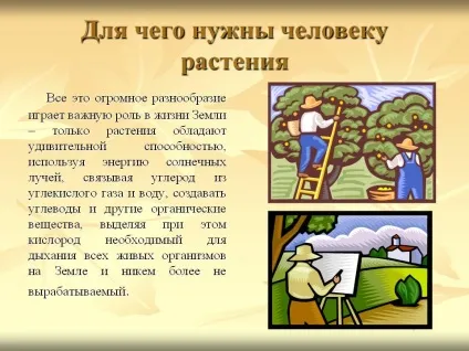Для чого потрібні людині рослини - презентація 191577-3 (навколишній) Для чого потрібні людині рослини - презентація 191577-3