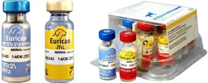 Еурікан для собак - інструкція із застосування, ціна, відгуки, «дай лапу» (собак) Еурікан для собак - інструкція із застосування, ціна, відгуки, «дай лапу»