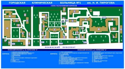 Флеболог в пермі кращі лікарі, які проводять лікування варикозу (флеболог) Флеболог в пермі кращі лікарі, які проводять лікування варикозу