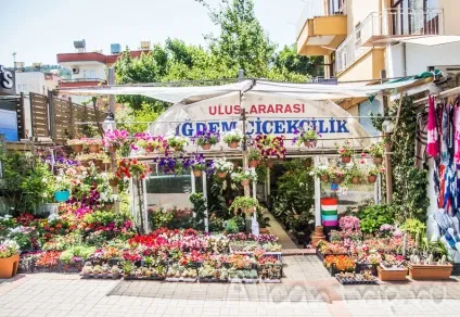 Фотопрогулка вулицями Аланії