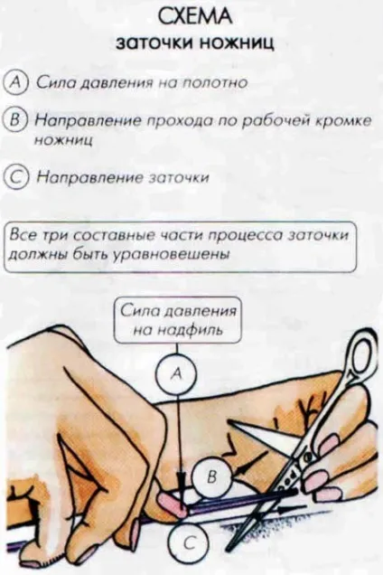 Енциклопедія технологій і методик - заточка ножиць (кравецьких, манікюрних, садових і т (поради) Енциклопедія технологій і методик - заточка ножиць (кравецьких, манікюрних, садових і т