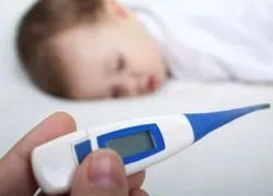 Груднічок хрюкає