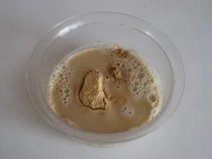 Гірчиця домашня