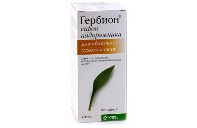 Грудної кашель у дорослих і дітей лікування, симптоми і причини (дорослих) Грудної кашель у дорослих і дітей лікування, симптоми і причини