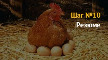Ідея бізнесу як відкрити бізнес з розведення курей бройлерів і несучок