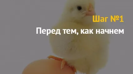 Ідея бізнесу як відкрити бізнес з розведення курей бройлерів і несучок